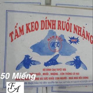 Top 10 keo dính ruồi tốt nhất