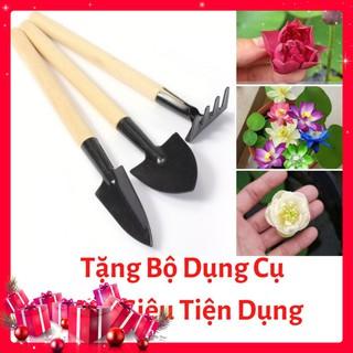 bộ dụng cụ làm vườn mini