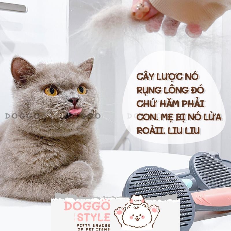 Chải lông có ảnh hưởng đến tình cảm của chó với chủ không?