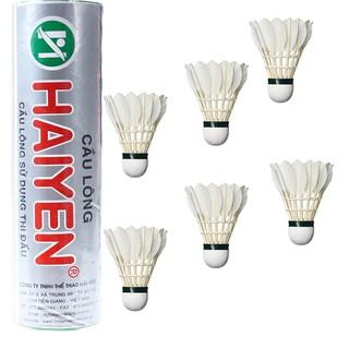 Ống cầu lông Sportslink hải yến 6 quả