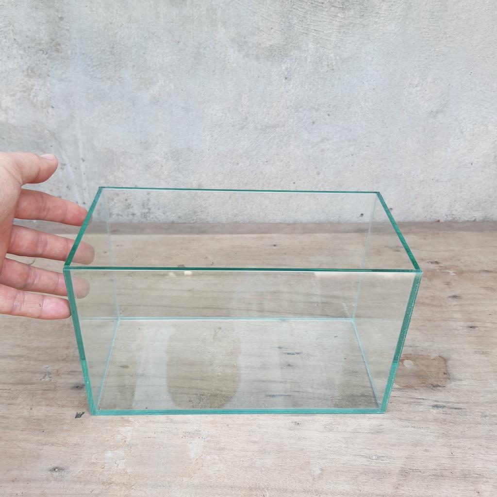 Làm thế nào để làm sạch bể cá mini?