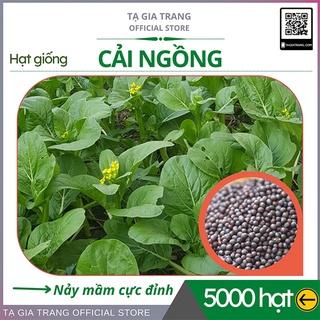 Hạt giống rau cải ngồng (cải ngọt bông) - Shop hạt giống Tạ Gia Trang | Gói 20g