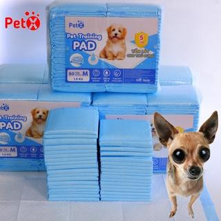 tã lót vệ sinh cho chó