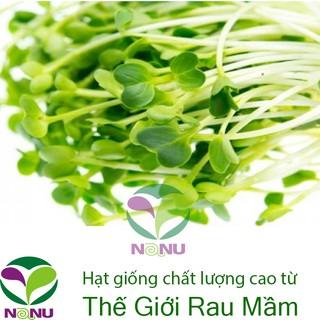 hạt giống rau mầm