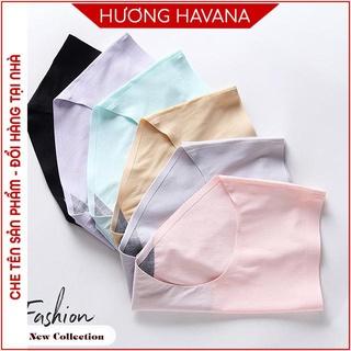 Quần lót nữ su gân tăm Havana kháng khuẩn cạp vừa không đường may, có size lớn FLQ09