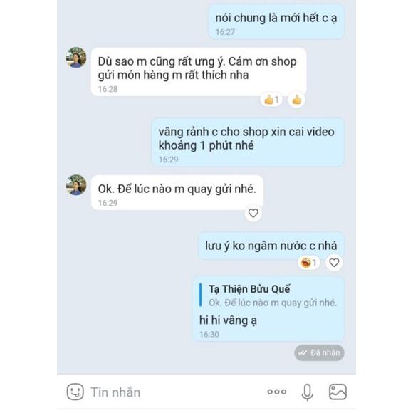 Xe điện mini e-scooter có thể thay được pin không?