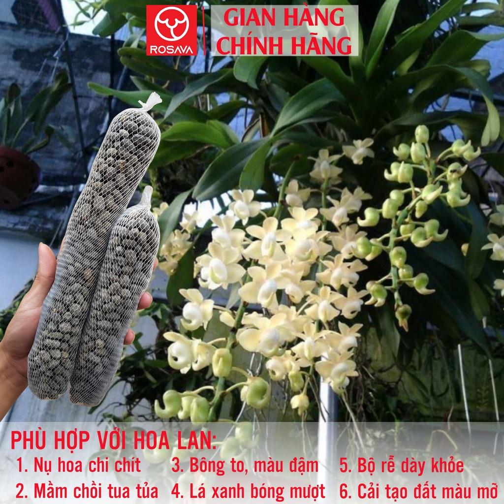 Cách sử dụng phân dê trồng lan đúng cách?