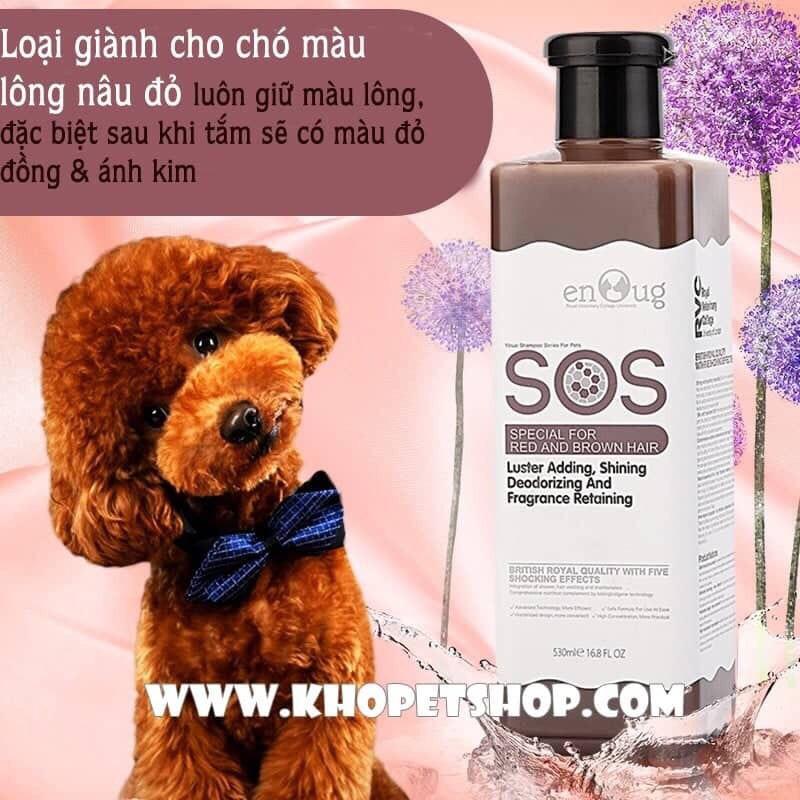 Sữa tắm SOS cho chó mèo có thể thay thế việc tắm gội truyền thống không?