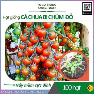 Hạt giống cà chua bi chùm đỏ (cà chua chuỗi ngọc) - Shop hạt giống Tạ Gia Trang | Gói 0.1g