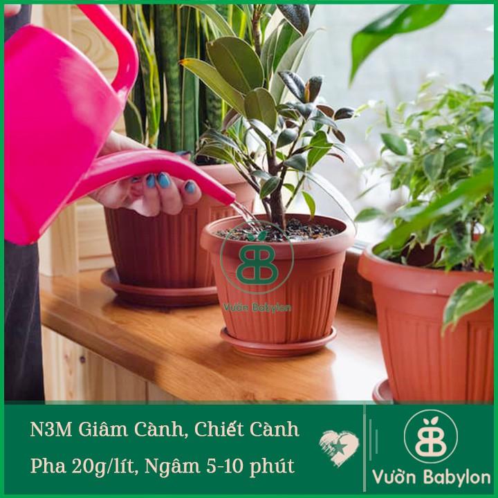 Khi nào cần tiến hành kích thích ra rễ cho cây trồng?