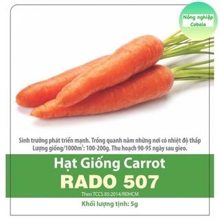 Top 10 hạt giống cà rốt củ to tốt nhất