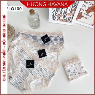 Quần lót nữ cotton viền ren dễ thương Havana FLQ100