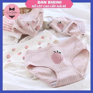 Quần Lót Nữ ❤️FREESHIP❤️ Quần Lót Nữ Cotton gân tăm hình dâu tây kháng khuẩn mềm mại mẫu 671