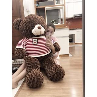 Gấu bông Teddy Cao Cấp khổ vải 1m2 Cao 1m màu Nâu hàng VNXK