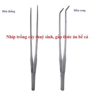 nhíp trần trồng cây thủy sinh