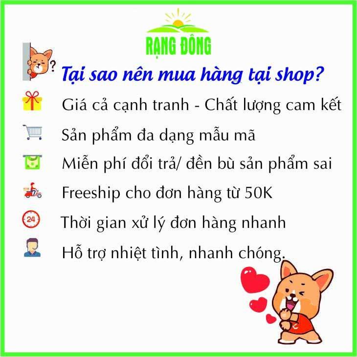 Hạt giống rau ngò rí có màu và kích thước như thế nào?