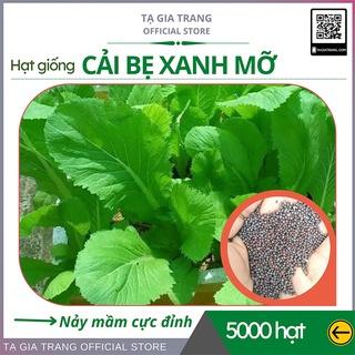 Top 10 hạt giống cải bẹ xanh tốt nhất