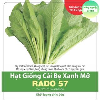 Hạt Giống Cải Bẹ Xanh Mỡ Dễ Trồng, Năng Suất Cao 20gr