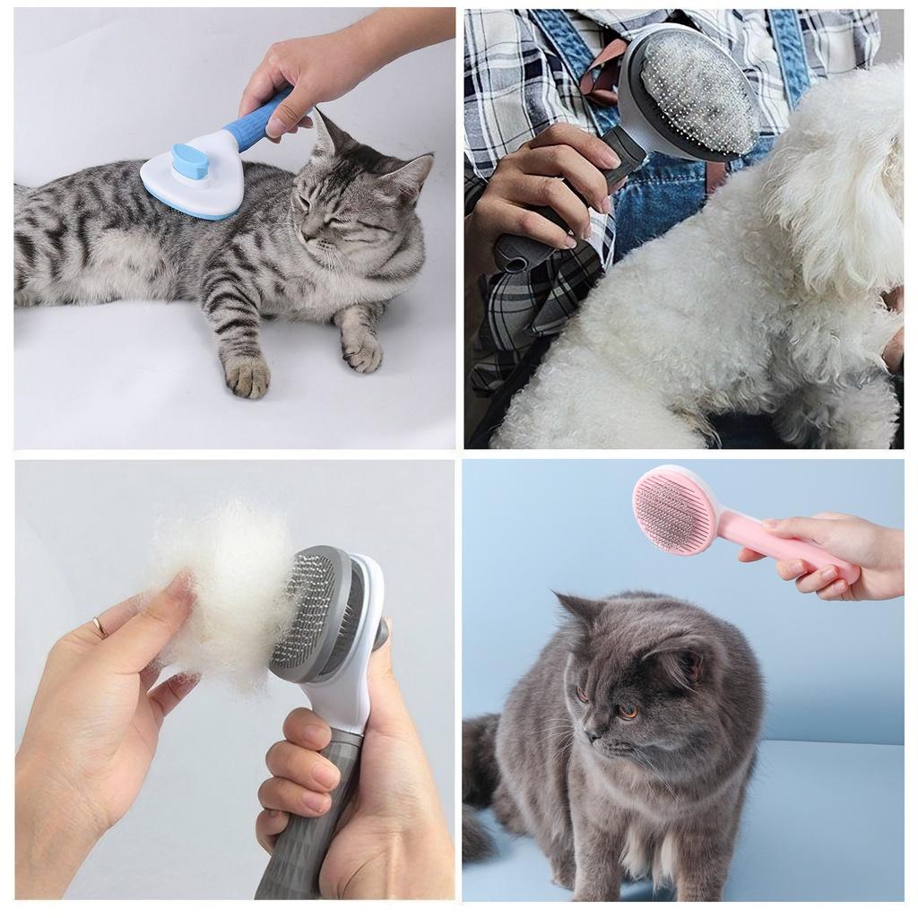 Những lợi ích khi lược chải lông thường xuyên cho thú cưng là gì?