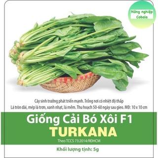 Top 10 hạt giống cải bó xôi tốt nhất