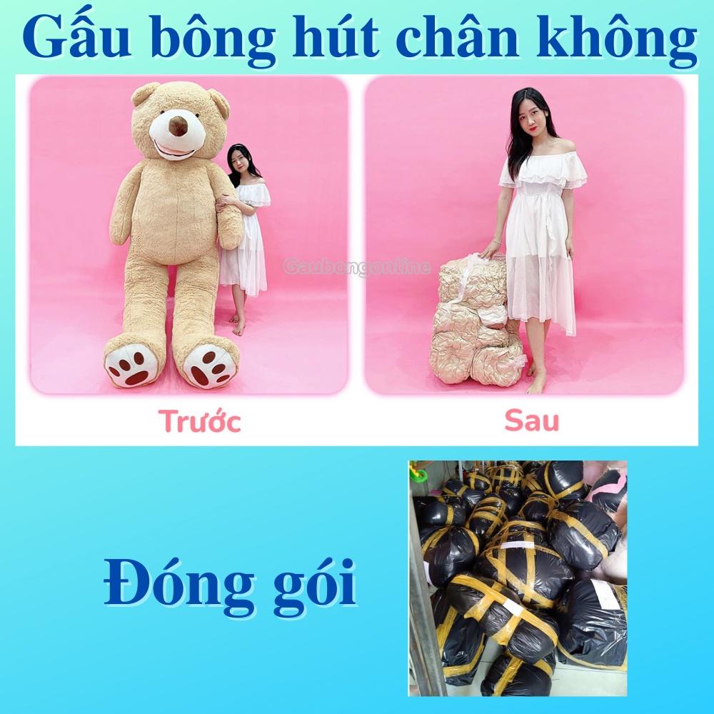 Có những mẫu gấu bông chó nào phổ biến trên thị trường?