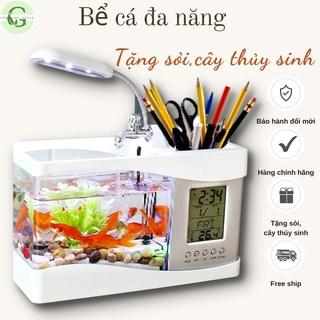 Top 10 bể cá mini tốt nhất