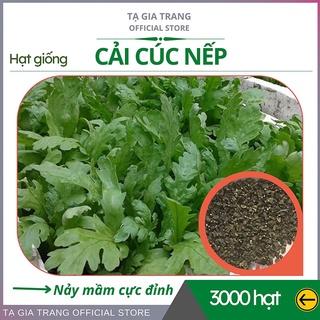 Top 10 hạt giống rau tần ô tốt nhất