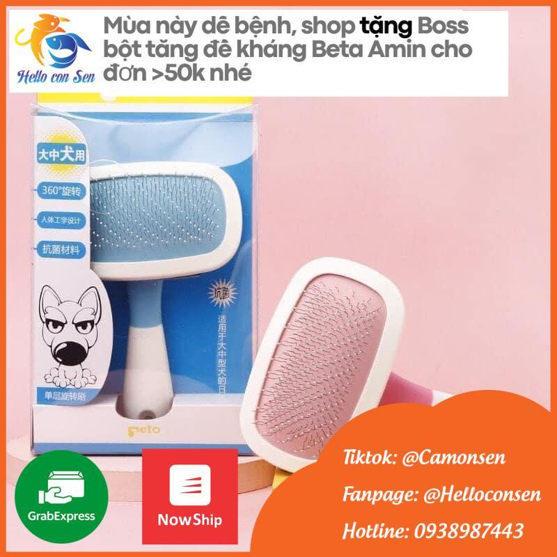 Loại lược chải lông nào phù hợp với từng loại lông của chó?