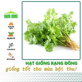 Hạt Giống Ngò Rí (Rau Mùi Ngò Ta) Dễ Trồng, Cây Sinh Trưởng và Kháng Bệnh Tốt (gói 20 gr) - Hạt giống Rạng Đông