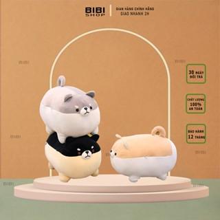 Chó bông Shiba mập ú dễ thương - gấu bông cute