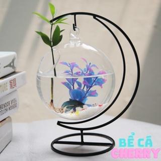 Bể cá mini để bàn làm việc hình cung Trăng 16 Cỡ To ( Tặng kèm combo phụ kiện trang trí )