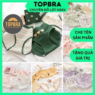 SET 5 Quần Lót Cotton Nữ Kháng Khuẩn Thông Hơi Thấm Hút Mồ Hôi TOPBRA