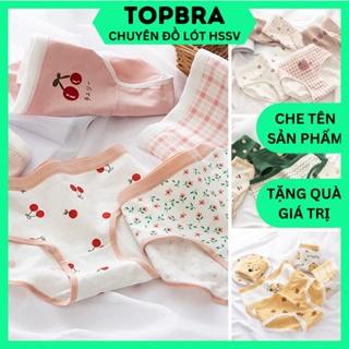 SET 5 Quần Lót Nữ Cotton Cute Dễ Thương Combo 5 Quần Chip Cạp Thấp Nâng Mông Thông Hơi TOPBRA